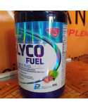 Glyco Fuel Endurance 909g - Performance