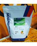 Palatinose All natural Newnutrition 1kg