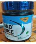 Amino Science Bcaa Powder 300g