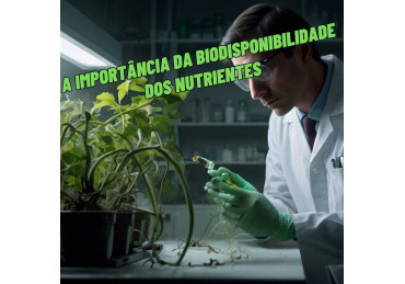 BIODISPONIBILIDADE: O QUE É E POR QUE IMPORTA