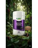 Amora Miura Morus Nigra L 500mg 60 Cápsulas Suplemento Alimentar Natural