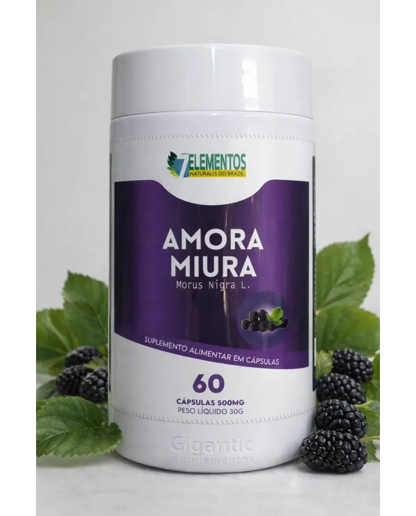 Amora Miura Morus Nigra L 500mg 60 Cápsulas Suplemento Alimentar Natural