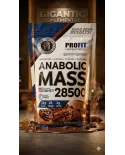Comprar Anabolic Mass 28500 Profit 3kg Hipercalórico Whey Creatina Sem Glúten — Gigantic Suplementos Anabolic Mass 28500 Profit 3kg Hipercalórico Whey Creatina Sem Glúten
