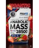 Comprar Anabolic Mass 28500 Profit 3kg Hipercalórico Whey Creatina Sem Glúten — Gigantic Suplementos Anabolic Mass 28500 Profit 3kg Hipercalórico Whey Creatina Sem Glúten