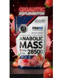 Comprar Anabolic Mass 28500 Profit 3kg Hipercalórico Whey Creatina Sem Glúten — Gigantic Suplementos Anabolic Mass 28500 Profit 3kg Hipercalórico Whey Creatina Sem Glúten