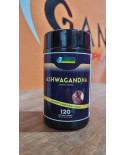 Ashwagandha 7 Elementos 120 Cápsulas 500mg – Ginseng Indiano Suplemento Alimentar Natural