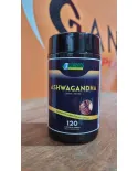Ashwagandha 7 Elementos 120 Cápsulas 500mg – Ginseng Indiano Suplemento Alimentar Natural