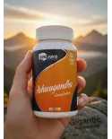 Comprar Ashwagandha 500mg 60 Cápsulas Inovare Ginseng Indiano Natural — Gigantic Suplementos Ashwagandha 500mg 60 Cápsulas Inovare Ginseng Indiano Natural