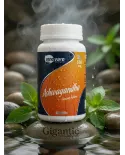 Ashwagandha 500mg 60 Cápsulas Inovare Ginseng Indiano Natural - foto 8 de 8
