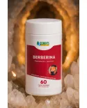Comprar Berberina 500mg 60 Cápsulas – Suplemento Alimentar Natural – 7 Elementos — Gigantic Suplementos Berberina 500mg 60 Cápsulas – Suplemento Alimentar Natural – 7 Elementos