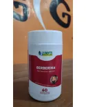 Comprar Berberina 500mg 60 Cápsulas – Suplemento Alimentar Natural – 7 Elementos — Gigantic Suplementos Berberina 500mg 60 Cápsulas – Suplemento Alimentar Natural – 7 Elementos