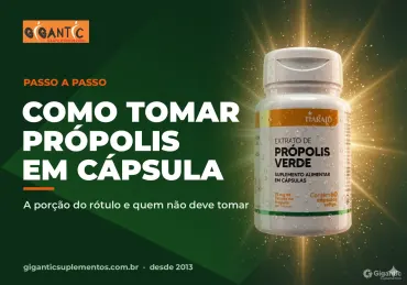 Como tomar própolis em cápsula: porção, horário e cuidados