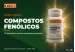 Compostos fenólicos da própolis: o que...