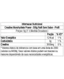 Comprar Creatine Monohidrate power 300g - Profit — Gigantic Suplementos Creatine Monohidrate power 300g - Profit