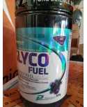 Glyco Fuel Endurance 909g - Performance