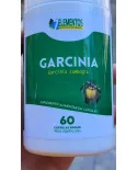 Comprar Garcinia Cambogia 7 Elementos 60 Cápsulas 500mg – Suplemento Alimentar Natural para Controle de Peso — Gigantic Suplementos Garcinia Cambogia 7 Elementos 60 Cápsulas 500mg – Suplemento Alimentar Natural para Controle de Peso