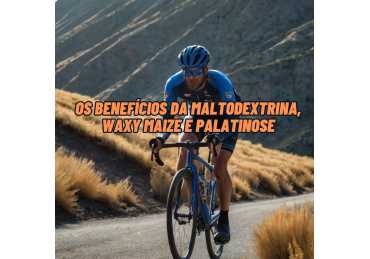 A DIFERENÇA ENTRE MALTODEXTRINA, WAXY MAIZE E PALATINOSE