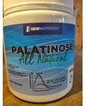 Palatinose 300g NewNutrition