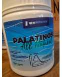 Palatinose 300g NewNutrition