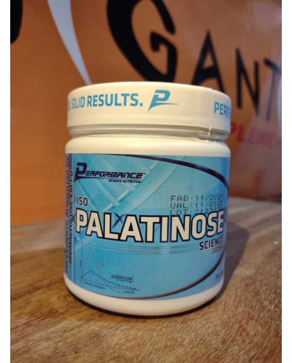 Palatinose 300g