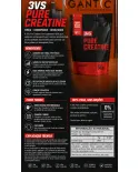 Creatina Pure Creatine 3VS 100% Pura Monohidratada 500g - 3VS Nutrition - foto 5 de 6