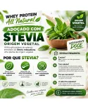 New Nutrition Whey Protein All Natural Concentrado 900g - foto 3 de 8