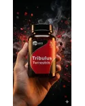 Comprar Tribulus Terrestris 500mg 100 Cápsulas Innovare Suplemento Natural — Gigantic Suplementos Tribulus Terrestris 500mg 100 Cápsulas Innovare Suplemento Natural