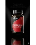 Comprar Tribulus Terrestris 500mg 100 Cápsulas Innovare Suplemento Natural — Gigantic Suplementos Tribulus Terrestris 500mg 100 Cápsulas Innovare Suplemento Natural