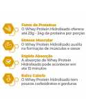 Whey Protein Hidrolisado 450g - Newnutrition