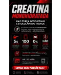 Creatina Monohidratada Max Titanium 500g em po